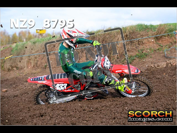 Experts-151