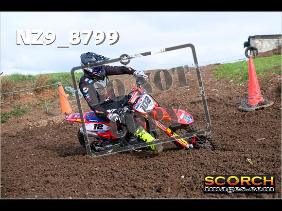 Experts-155