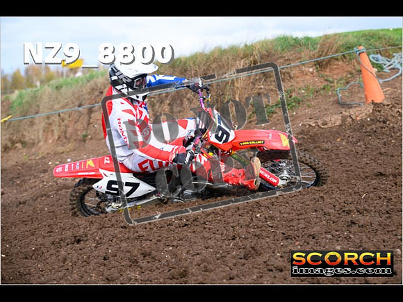 Experts-156