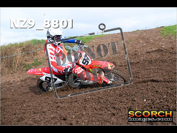 Experts-157