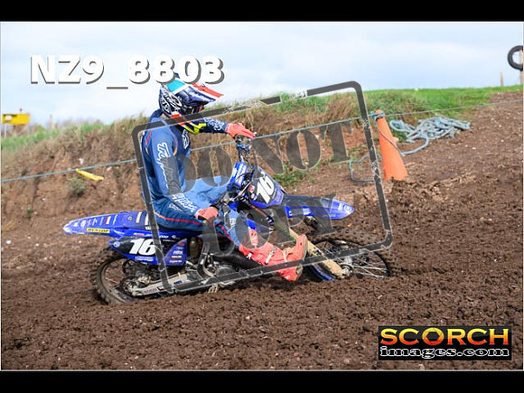 Experts-159