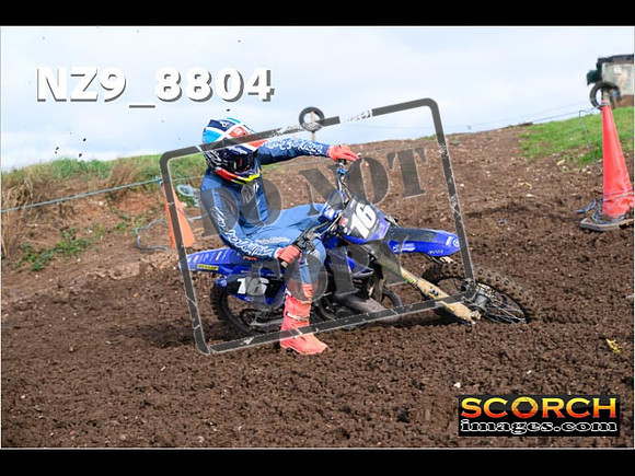 Experts-160
