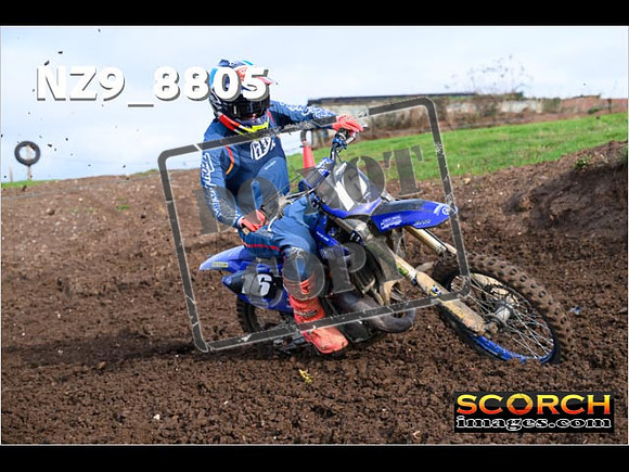 Experts-161