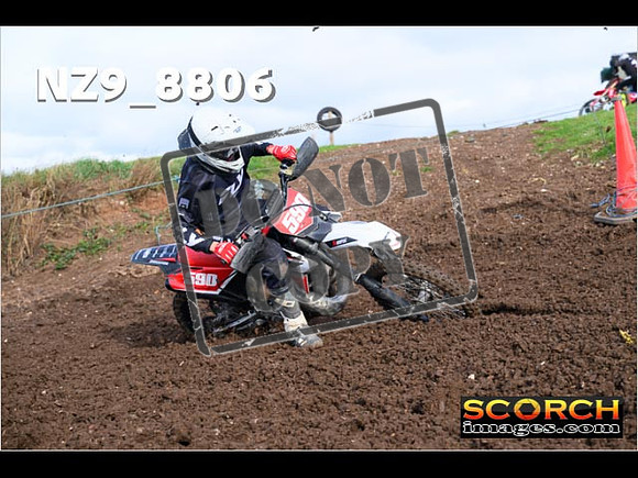 Experts-162