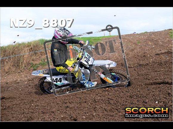 Experts-163