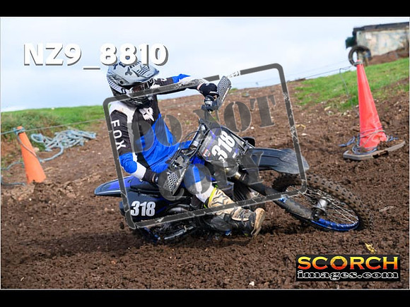 Experts-166
