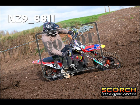 Experts-167