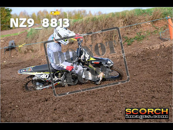 Experts-169