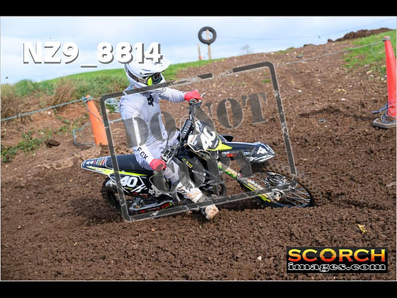 Experts-170