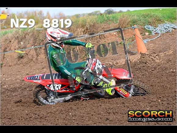 Experts-175