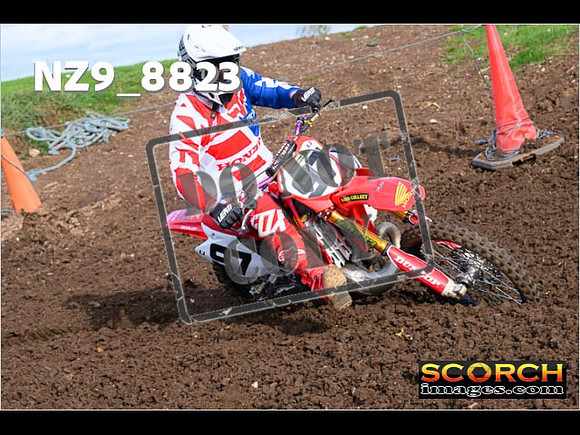 Experts-178