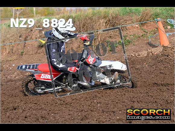 Experts-179