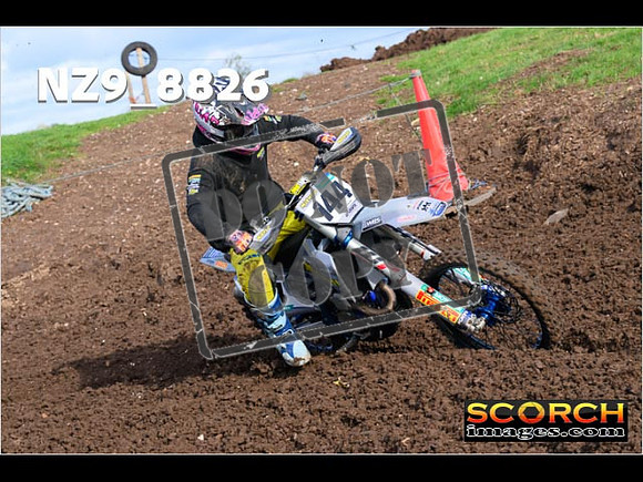 Experts-181