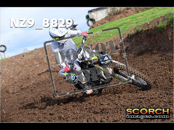 Experts-184