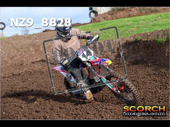 Experts-183
