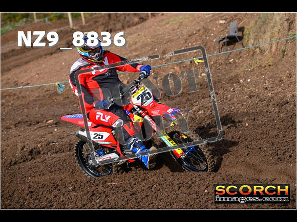 Experts-190