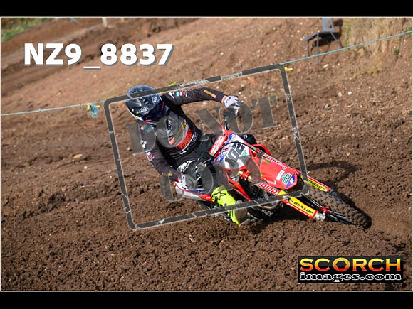 Experts-191