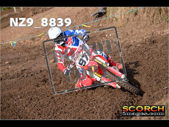 Experts-193