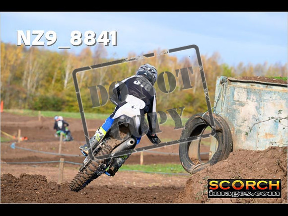 Experts-195