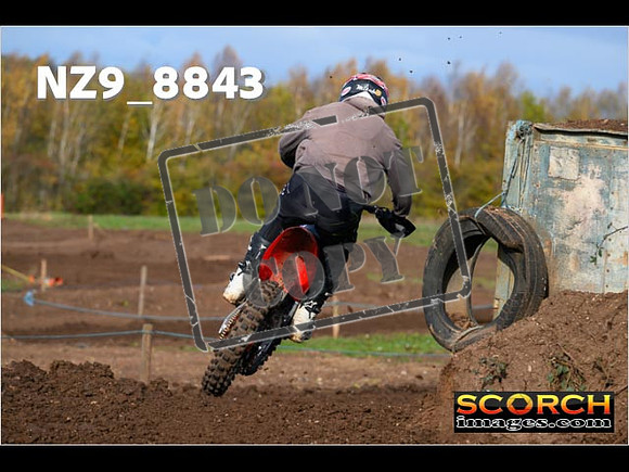 Experts-197