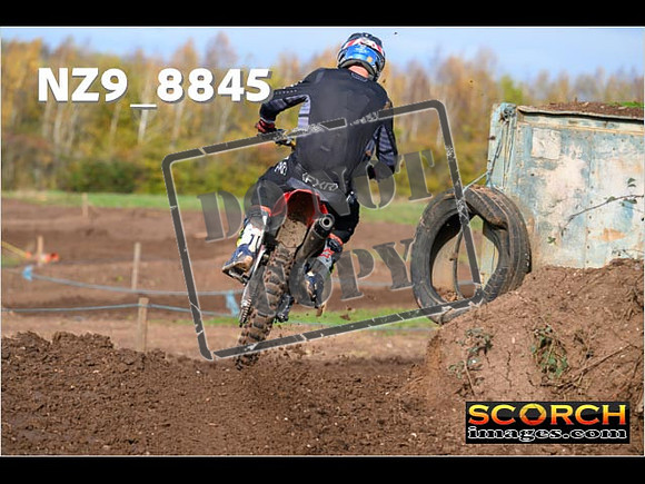 Experts-199