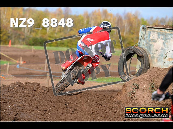 Experts-202