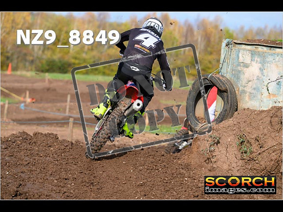 Experts-203