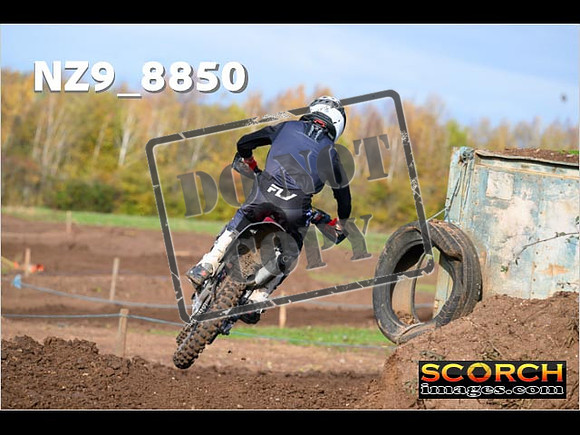 Experts-204