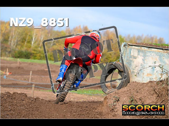 Experts-205