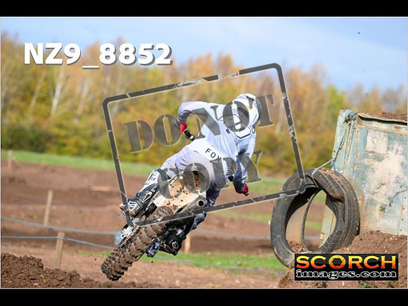 Experts-206