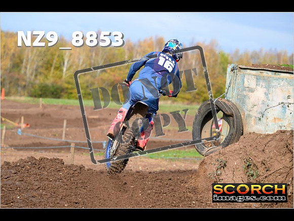 Experts-207