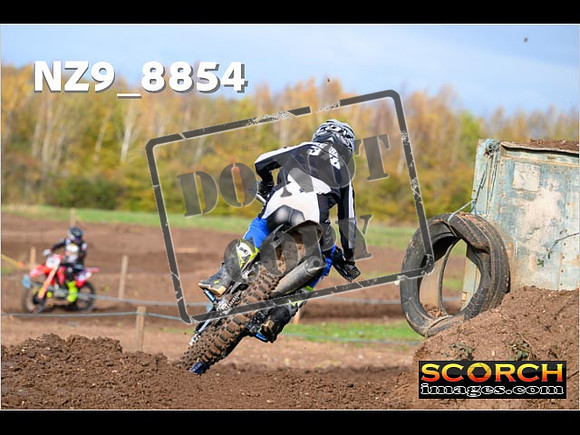 Experts-208
