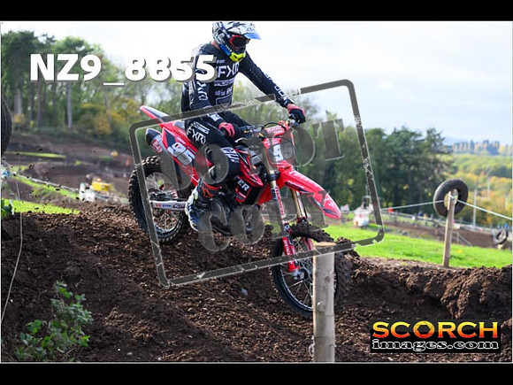 Experts-209