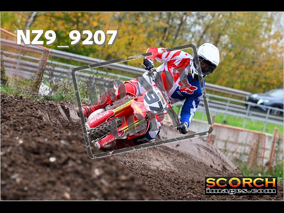 Experts-213