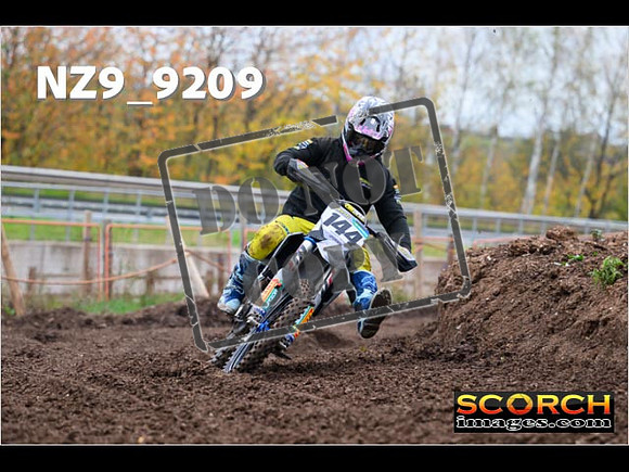 Experts-215
