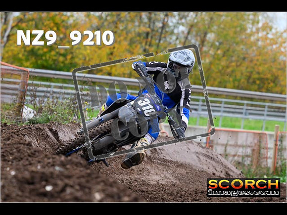 Experts-216