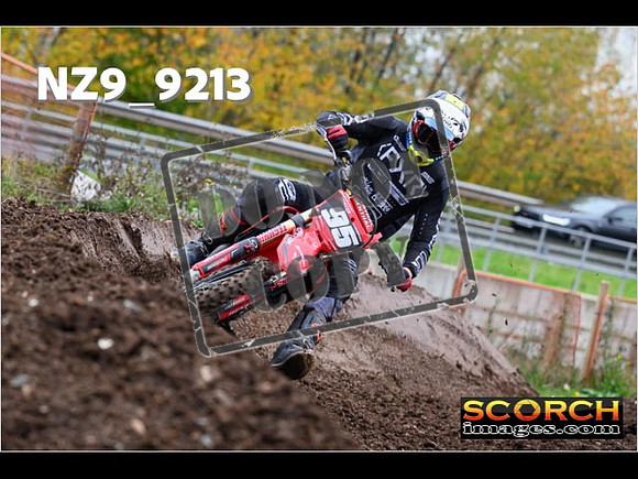 Experts-219