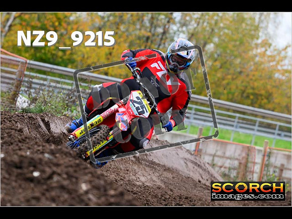 Experts-221
