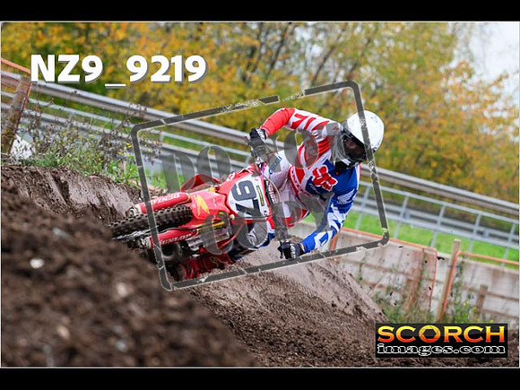 Experts-224