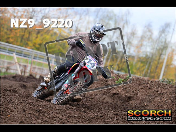 Experts-225