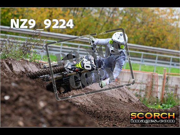 Experts-229