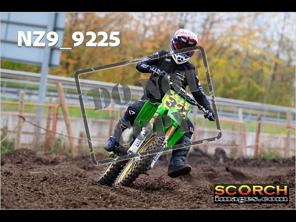 Experts-230