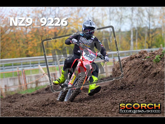 Experts-231