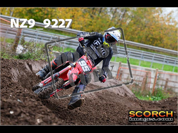 Experts-232