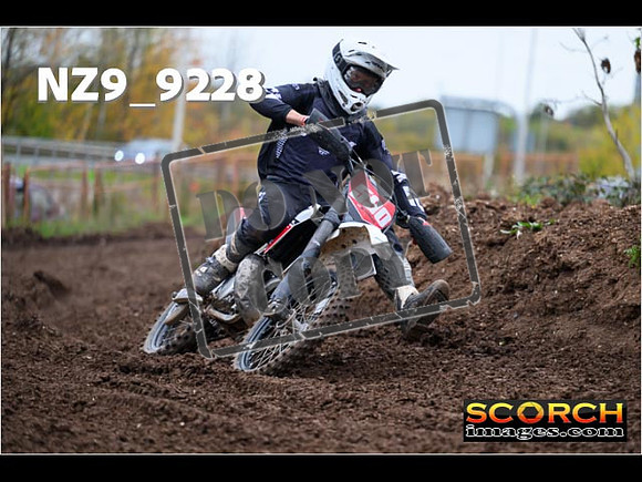 Experts-233