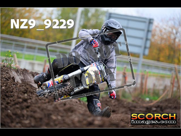 Experts-234