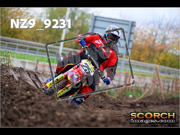 Experts-236