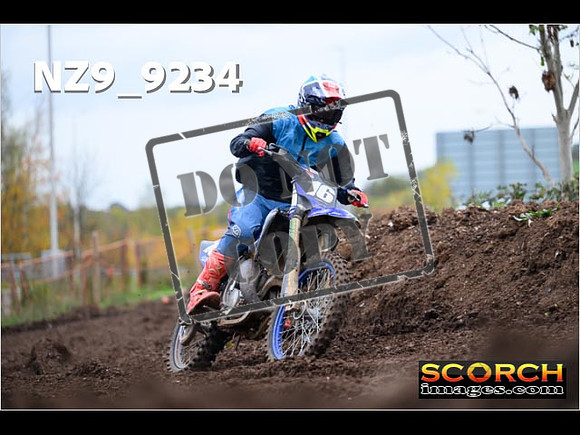 Experts-239