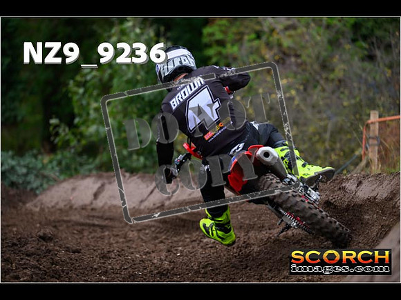Experts-241