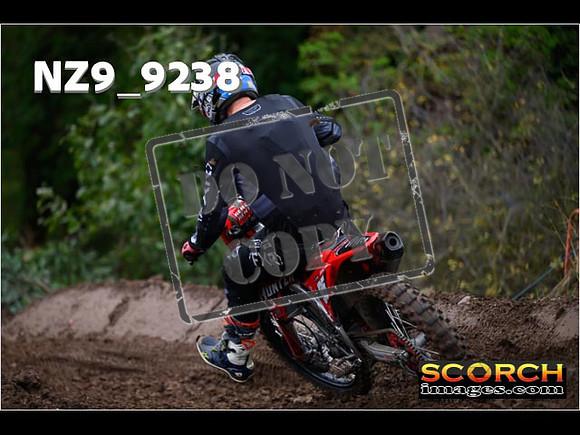 Experts-243